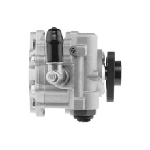 POMPE DE DIRECTION ASSISTEE Pour VW PASSAT 2.8 V6 97-05 NTY