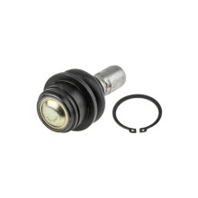 ROTULE DE Pour NISSAN PATHFINDER R51 05- ARRIERE INFERIEUR NTY