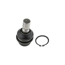 ROTULE DE Pour NISSAN PATHFINDER R51 05- ARRIERE INFERIEUR NTY