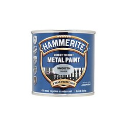SMOOTH METAL PAINT SILVER 250M OE QUALITY HAM5084894