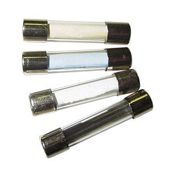 ASSTD GLASS FUSES OE QUALITY PEAPWN421