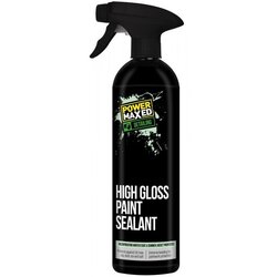 HIGH GLOSS PAINT SEALANT 500ml OE QUALITY PMPS500