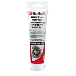 COPPER PASTE TUBE 100GM OE QUALITY PR1R