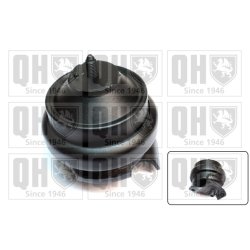 Engine Mounting QUINTON HAZELL EM1827 OE Ref 191199279B QUINTON HAZELL