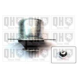 Engine Mounting QUINTON HAZELL EM1829 OE Ref 357199402A QUINTON HAZELL