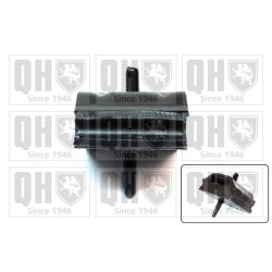 Axle Beam Bushing QUINTON HAZELL EM1896 OE Ref 513171