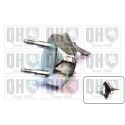 Axle Beam Bushing QUINTON HAZELL EM1914 OE Ref 513170