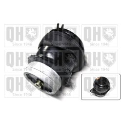 Engine Mounting QUINTON HAZELL EM1931 OE Ref 357199262A QUINTON HAZELL