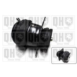 Engine Mounting QUINTON HAZELL EM2503 OE Ref 357199262D QUINTON HAZELL