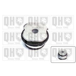 Control Trailing Arm Mounting QUINTON HAZELL EM3083 OE Ref 7756218 QUINTON HAZELL