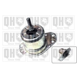 Engine Mounting QUINTON HAZELL EM3162 OE Ref 46431619 QUINTON HAZELL