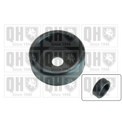 Axle Beam Bushing QUINTON HAZELL EM4000 OE Ref 46476755