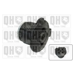 Axle Beam Bushing QUINTON HAZELL EM4080 OE Ref 7700767685