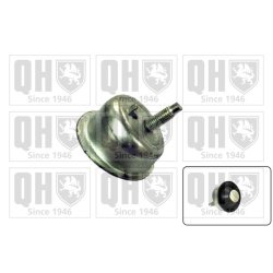 Engine Mounting QUINTON HAZELL EM4143 OE Ref 1844A1 QUINTON HAZELL