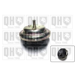 Engine Mounting QUINTON HAZELL EM4156 OE Ref 24417107 QUINTON HAZELL