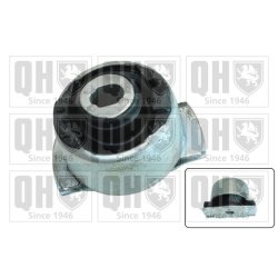 Axle Beam Bushing QUINTON HAZELL EM4202 OE Ref 8200597258