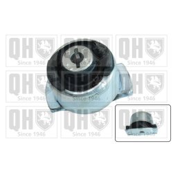 Axle Beam Bushing QUINTON HAZELL EM4203 OE Ref 8200597259