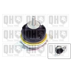 Engine Mounting QUINTON HAZELL EM4219 OE Ref 9635939880 QUINTON HAZELL