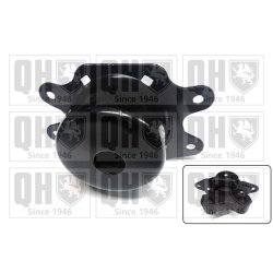 Engine Mounting QUINTON HAZELL EM4587 OE Ref 13181023 QUINTON HAZELL