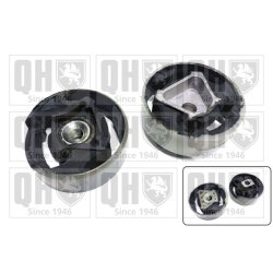 Axle Beam Bushing QUINTON HAZELL EM4589 OE Ref 5Q0198037