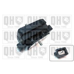 Engine Mounting QUINTON HAZELL EM4722 OE Ref 22316769848 QUINTON HAZELL