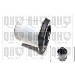 Axle Beam Bushing QUINTON HAZELL EM4784 OE Ref 51804551