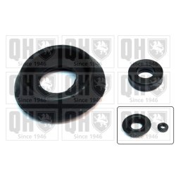 Suspension Strut Support Mount Kit QUINTON HAZELL EMA5043 OE Ref 115495801
