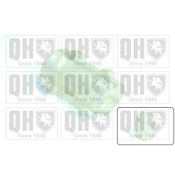 Stabiliser Bar Mounting QUINTON HAZELL EMB2139 OE Ref 509436