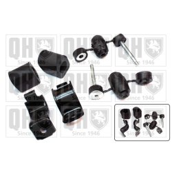 Stabiliser Bush Kit QUINTON HAZELL EMBK3062 OE Ref 7700799404