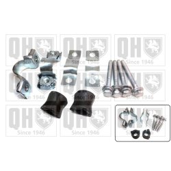 Stabiliser Bush Kit QUINTON HAZELL EMBK3099 OE Ref 1400245280