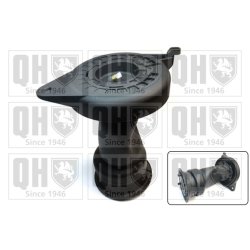 Suspension Air Spring QUINTON HAZELL EMR4874 OE Ref 1350998080