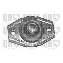 Control Trailing Arm Mounting QUINTON HAZELL EMS2030 OE Ref 7700500113 QUINTON HAZELL