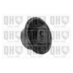 Control Trailing Arm Mounting QUINTON HAZELL EMS2433 OE Ref 321501541 QUINTON HAZELL
