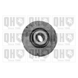 Control Trailing Arm Mounting QUINTON HAZELL EMS2447 OE Ref 4A0407181A QUINTON HAZELL