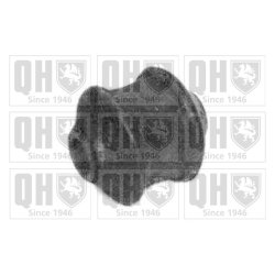 Control Trailing Arm Mounting QUINTON HAZELL EMS2454 OE Ref 861407183 QUINTON HAZELL