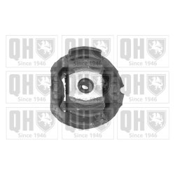 Control Trailing Arm Mounting QUINTON HAZELL EMS2494 OE Ref 2013512842 QUINTON HAZELL