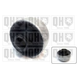 Control Trailing Arm Mounting QUINTON HAZELL EMS2651 OE Ref 6N0407181 QUINTON HAZELL
