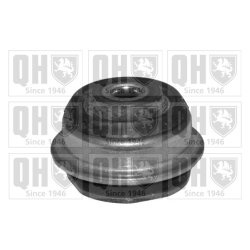 Control Trailing Arm Mounting QUINTON HAZELL EMS4091 OE Ref 7779884 QUINTON HAZELL