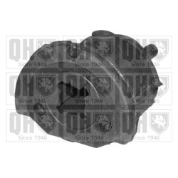 Control Trailing Arm Mounting QUINTON HAZELL EMS8075 OE Ref 545904F100 QUINTON HAZELL