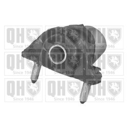 Control Trailing Arm Mounting QUINTON HAZELL EMS8216 OE Ref 352353 QUINTON HAZELL