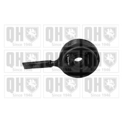 Control Trailing Arm Mounting QUINTON HAZELL EMS8312 OE Ref 31129059288 QUINTON HAZELL