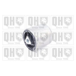 Control Trailing Arm Mounting QUINTON HAZELL EMS8486 QUINTON HAZELL