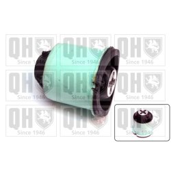 Axle Beam Bushing QUINTON HAZELL EMS8607 OE Ref 7701479191