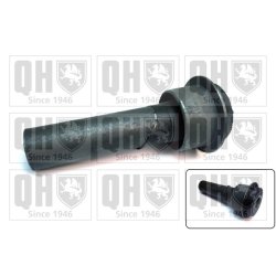 Axle Beam Bushing QUINTON HAZELL EMS8638 OE Ref 54466JD000