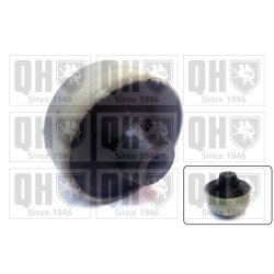 Control Trailing Arm Mounting QUINTON HAZELL EMS8713 OE Ref 13167940 QUINTON HAZELL