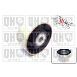 Axle Beam Bushing QUINTON HAZELL EMS8765 OE Ref 8200828306