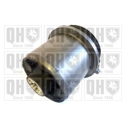 Axle Beam Bushing QUINTON HAZELL EMS8795 OE Ref 5Q0501541C