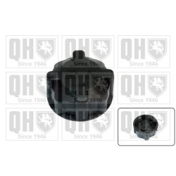 Coolant Tank Cap QUINTON HAZELL FC501 OE Ref 46402981
