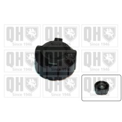 Coolant Tank Cap QUINTON HAZELL FC517 OE Ref 46456133