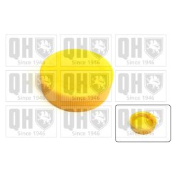 Coolant Tank Cap QUINTON HAZELL FC556 OE Ref L32715355